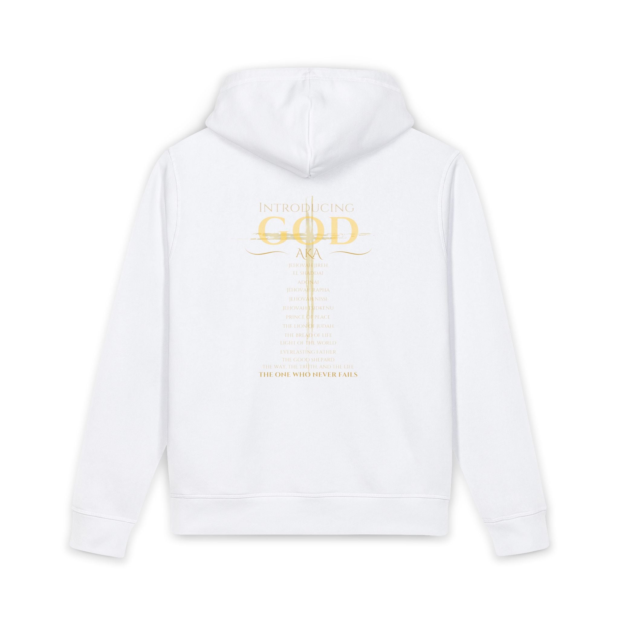 Christian Graphic Hoodie — "Introducing God" Hoodie