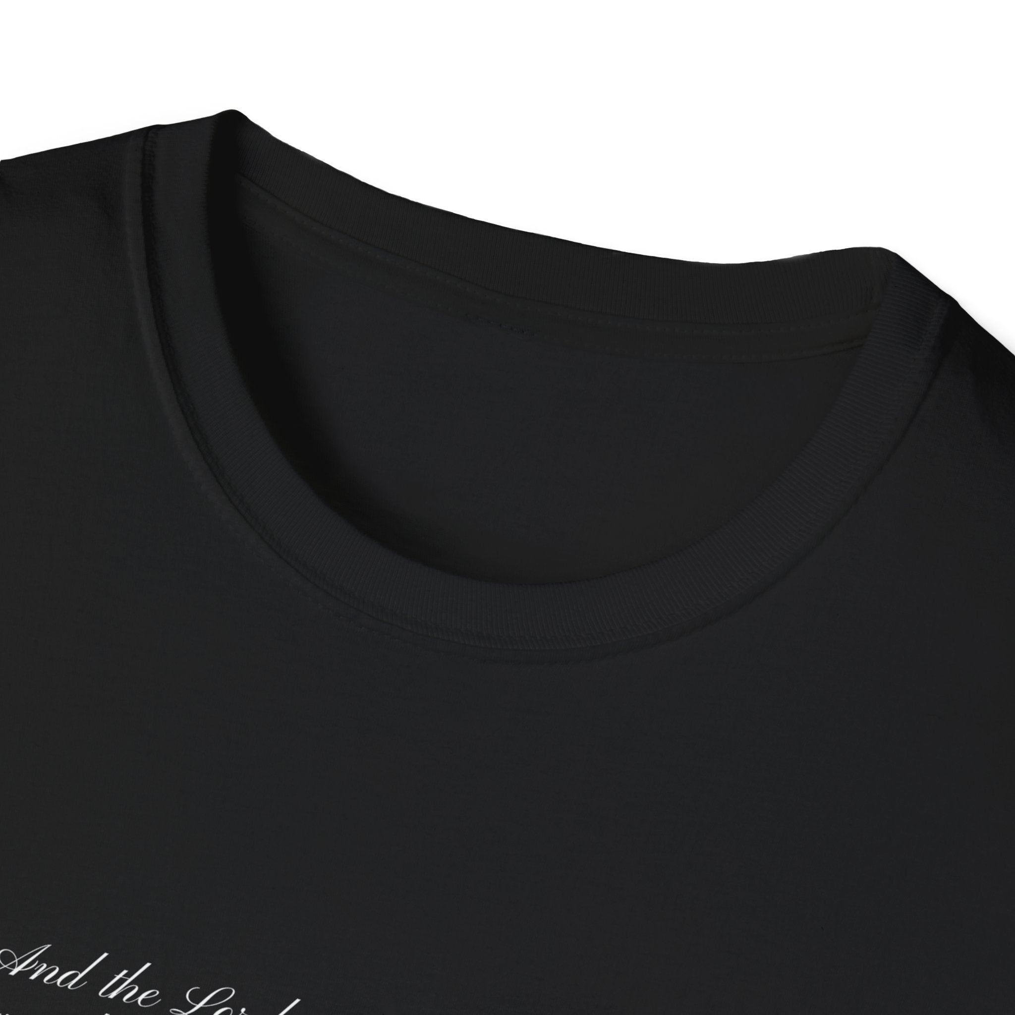 Soft T-Shirt — Write the Vision and Make it Plain