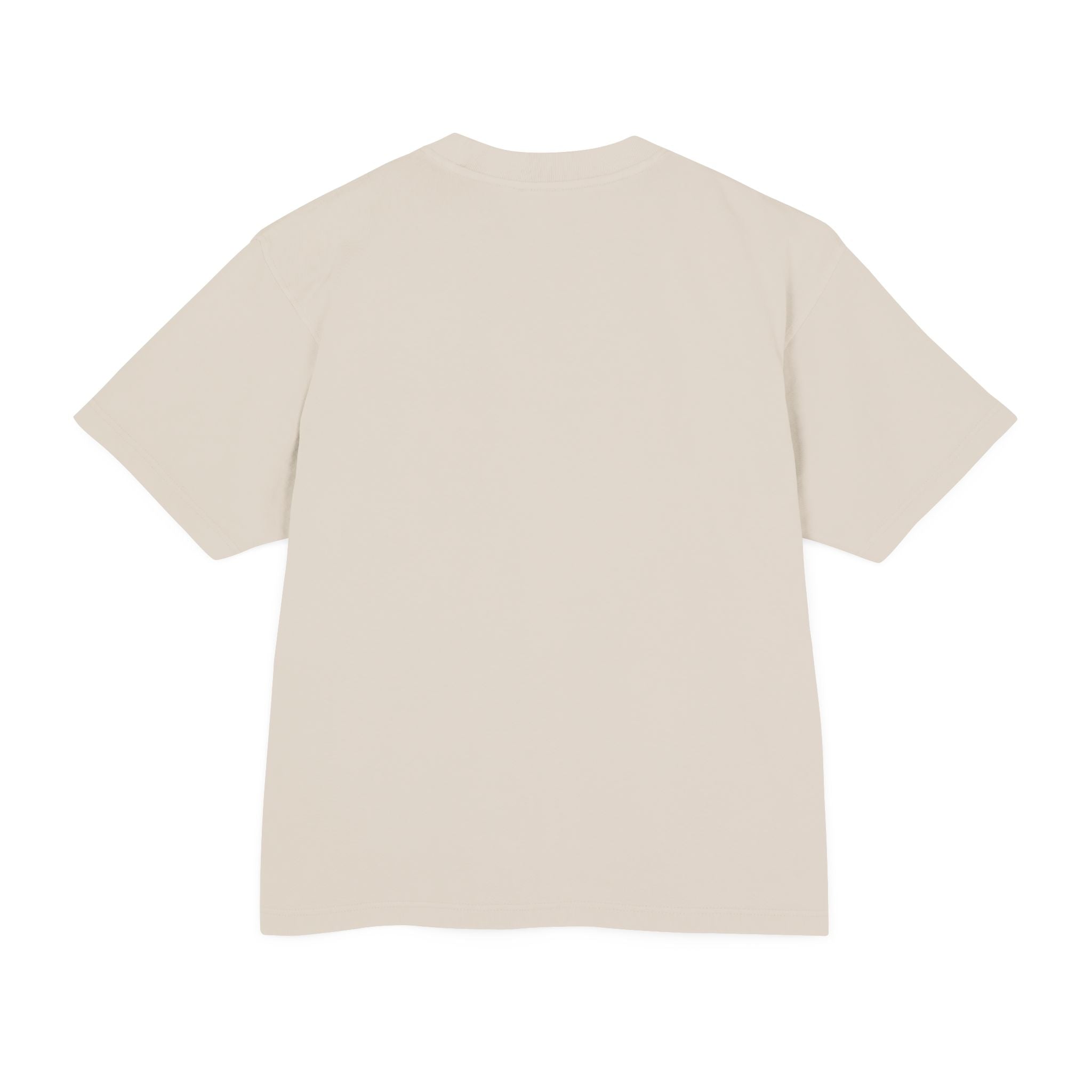 Faith Contrast T‑Shirt — "How the World Sees vs Who He Really Is" Inspirational Tee