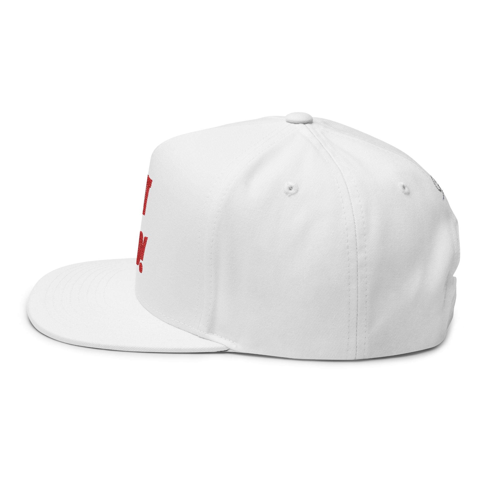 But God! Embroidered Flat Bill Cap — Christian Statement Snapback