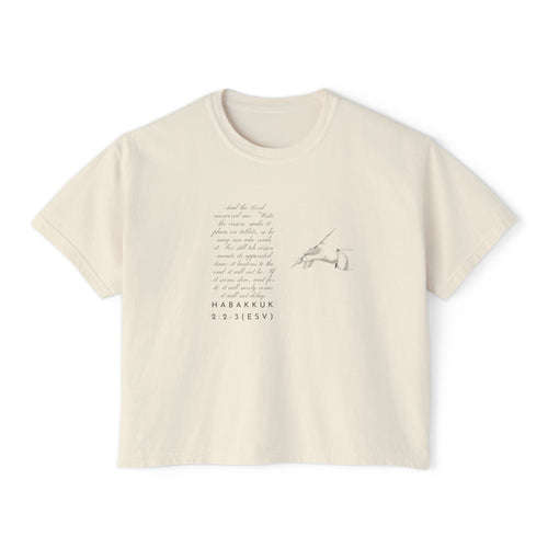 Christian Cross Boxy Tee — Write the Vision and Make It Plain KJV